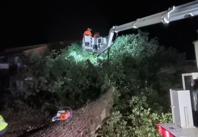 03.09.2025: Unwetter beschert 5 Einsätze – Baum auf Gebäude, Feuerwehr muss eingeschlossene Person befreien