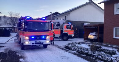 10.01.2026: Feuer in Kaminrohrverkleidung