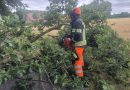 07.07.2026: Baum auf Fahrbahn