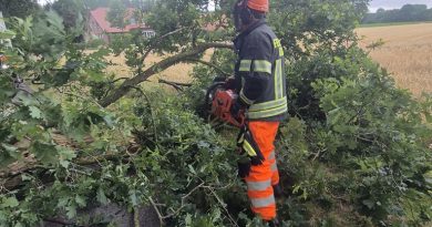 07.07.2026: Baum auf Fahrbahn