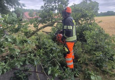 07.07.2026: Baum auf Fahrbahn