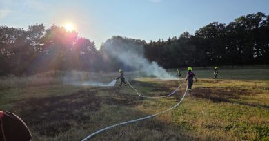 02.08.2026: Flächenbrand in Harwick