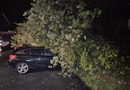 08.10.2026: Baum auf mehrere Fahrzeuge