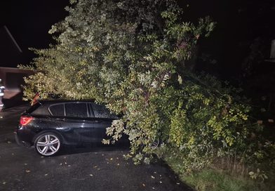08.10.2026: Baum auf mehrere Fahrzeuge
